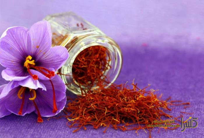 مدارک مورد نیاز جهت ثبت شرکت